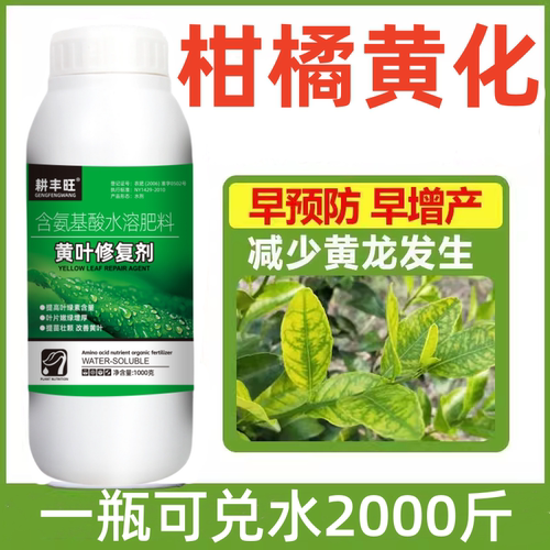 柑橘黄化修复剂柑桔黄化病