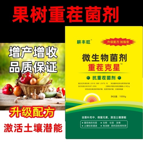 果树重茬药果树重茬剂果树根腐病