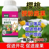 樱桃座果药樱桃授粉素催花促果防落果防裂樱桃坐果精樱桃授粉药