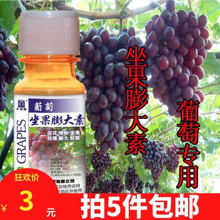 葡萄坐果膨大素膨大剂夏黑膨大技术巨峰红提葡萄座果灵葡萄膨大剂
