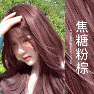 流行色自己在家染发泡泡沫染发膏女 焦糖粉棕染发剂植物纯2024新款
