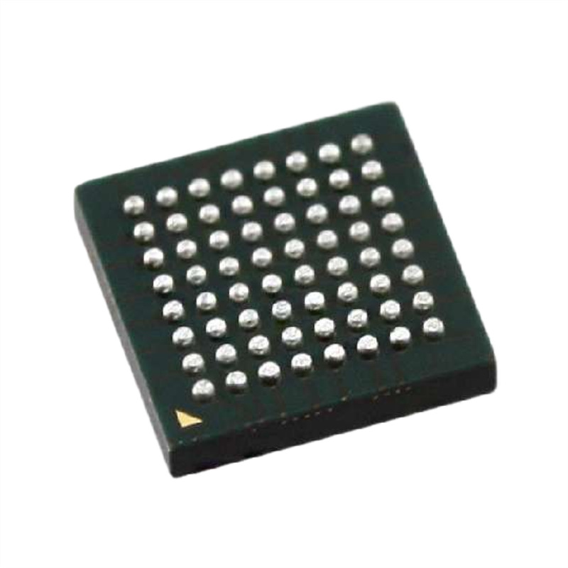 STM32F058R8H7TR BGA-64 STM32F100RBH6B | Santo 集成电路