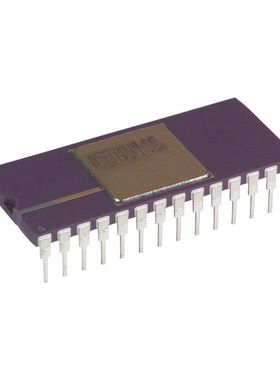 AD667SD AUCDIP-28 ADI (亚德诺) DA转换器IC =MSD