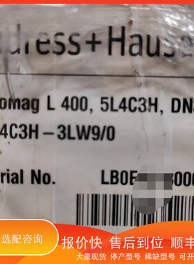 议价.E+H恩德斯豪斯电磁计，型号5L4C3H-AALHN