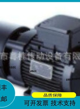 议价维修意大利ICME电机 T63A2 0.18KW 意大利三相异步马达