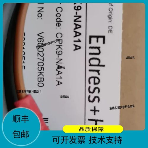 德国E+H恩德斯豪斯数字，型号CPK9-NAA1A，德国