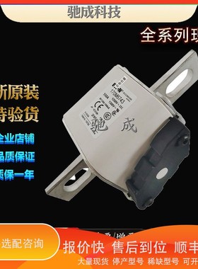 议价.巴斯曼170M6738 170M6898 170M6899 厂家优价供应 低压熔断