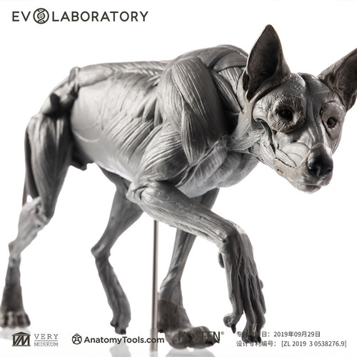 EVOLABORATORY雕像模型艺术摆件