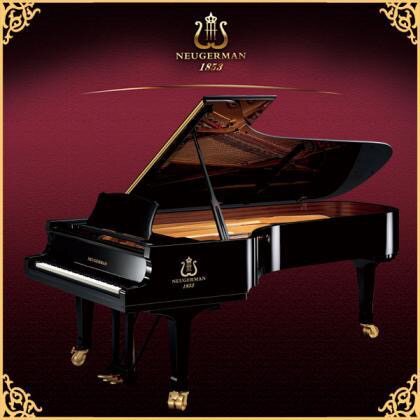 原装正品诺英德曼钢琴g4 专业级教学家用乐器 高端演奏琴三角钢琴