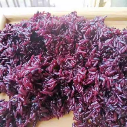 酸奶紫米露台湾饭团用熟紫色糯米饭热奶宝寿司商用粢饭团奶茶用