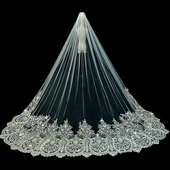 新娘结婚主婚纱头纱原创重工珠绣头纱高级感轻奢长拖尾头纱头饰