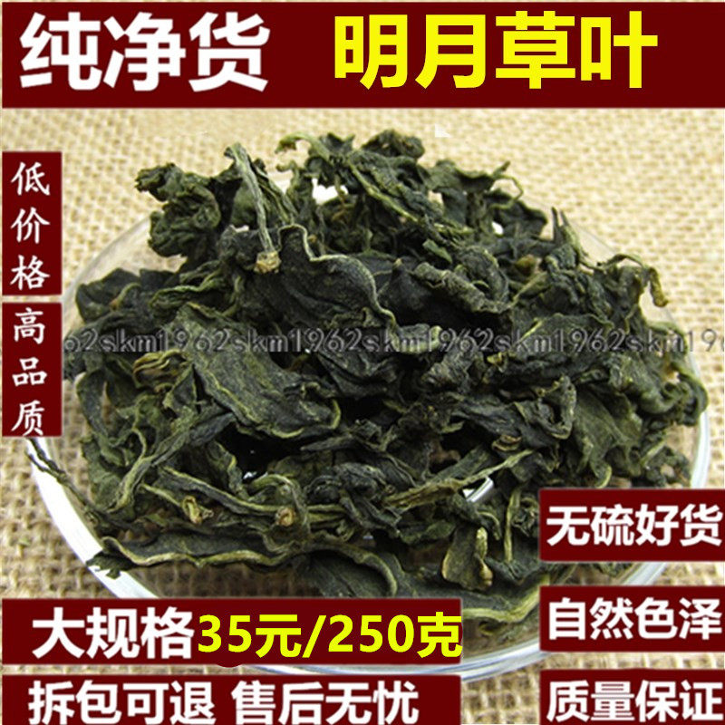250g克包邮 明月草茶 明日草 富贵菜 白背三七 金鸡毛草 非500g