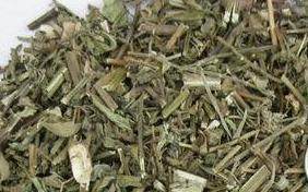 土茵陈土香薷 又称:牛至小叶薄荷 满坡香 野荆芥 白花茵陈