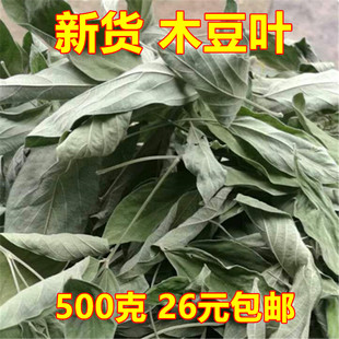 农家晒干木豆叶500g包邮天然采摘干净无硫中草药 树黄豆洗澡
