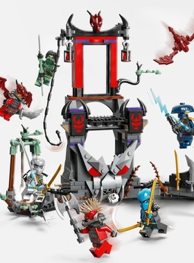 lego 乐高 幻影忍者 71841 龙族风暴村 杀肉 套装拆出 全新人仔