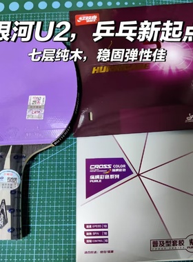 正品银河U2纯木金标搭配正手黑狂飙反手紫色普及diy手工拍控打兼