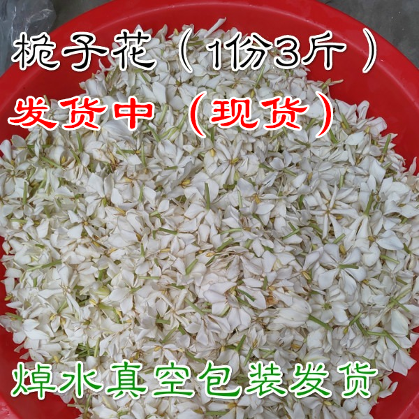 浙江衢州新鲜现摘桅子花 山枝花 野生枝子花 食用 山栀花  3斤