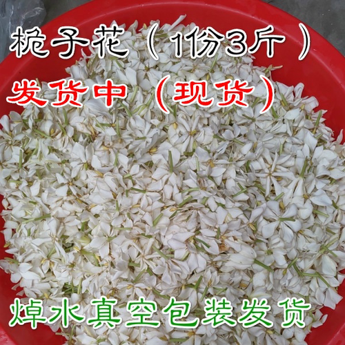 浙江衢州新鲜现摘桅子花 山枝花 野生枝子花 食用 山栀花  3斤