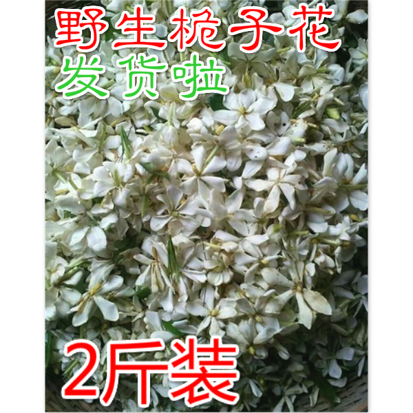 衢州新鲜桅子花 山枝花 野生枝子花  食用 山栀花 黄栀子花 2斤