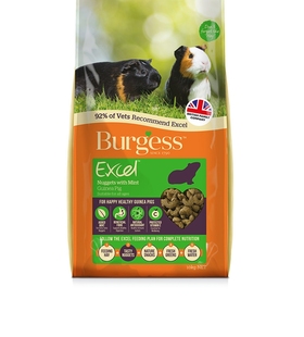 英国进口Burgess布格斯豚鼠薄荷/黑加仑粮猪粮1.5公斤26.7-26.9