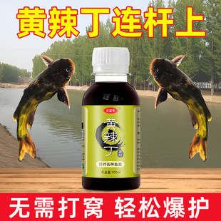 黄辣丁专用饵料钓鱼小药浓腥药酒野钓通杀窝料专攻昂刺鱼青稍红尾
