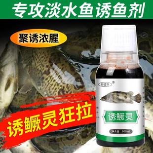 鳜鱼添加剂诱食剂开口剂诱鳜灵钓鱼草鳊鳜鱼腥香味浓假饵四季通用