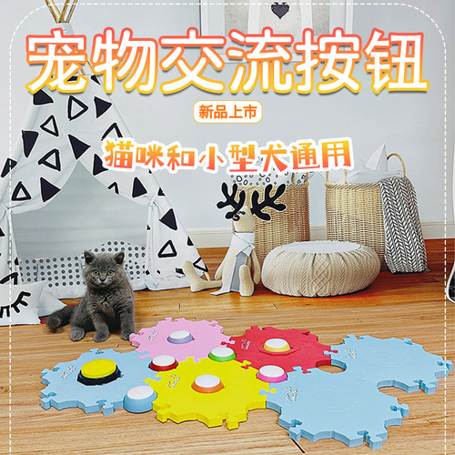 RIBOSY录音按钮发声玩具