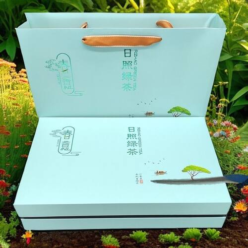 山东日照绿茶2025年新茶叶高档礼盒装半斤250克特产过年中秋送礼 - 封面