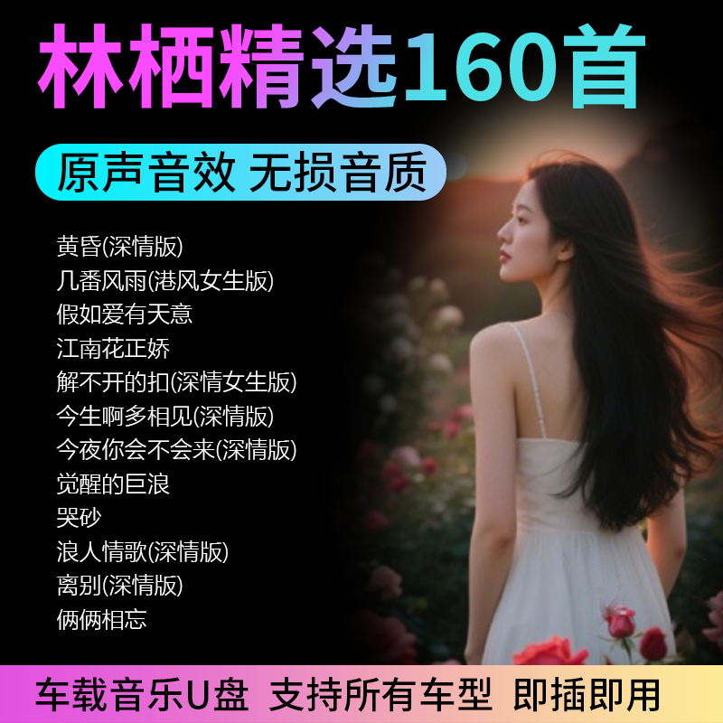 林栖音乐U盘专辑精选翻唱经典怀旧国语伤感歌曲无损音质汽车载CD