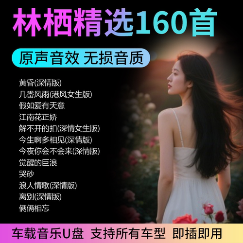 林栖音乐怀旧国语无损车载U盘