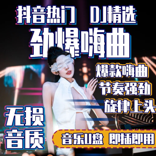 汽车载u盘歌曲2026新款抖音热门劲爆DJ中文无损MP3经典流行音乐