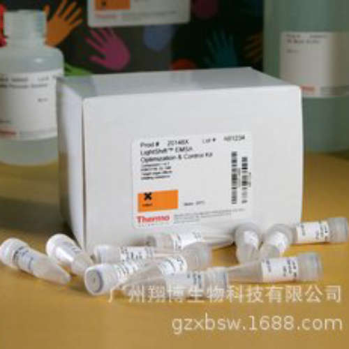 100 reactions 20148 LightShift化学发光EMSA试剂盒