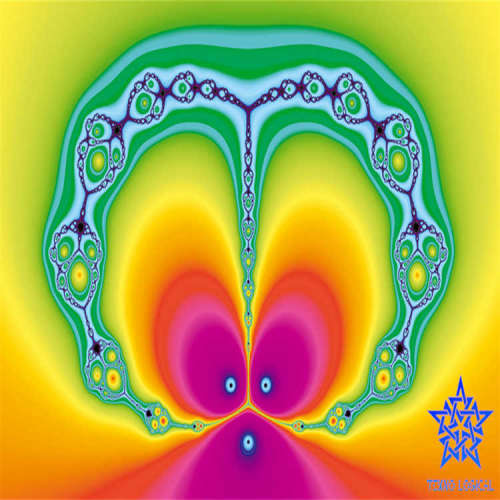 Raccordo rapido a leva VR tipo A 1.1/4  SST 316 (C欧洲品牌，