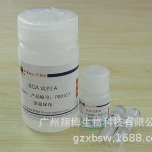 P0010 BCA蛋白浓度测定试剂盒(增强型) 500次