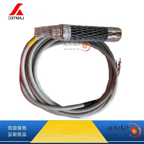 LAMTEC蓝姆泰克燃烧机火焰探测器FFS08 德国原装信号放大器F152