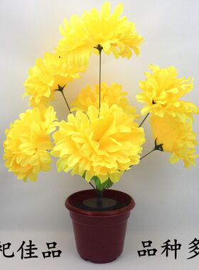 龙爪菊仿真祭祀墓碑摆放清明花