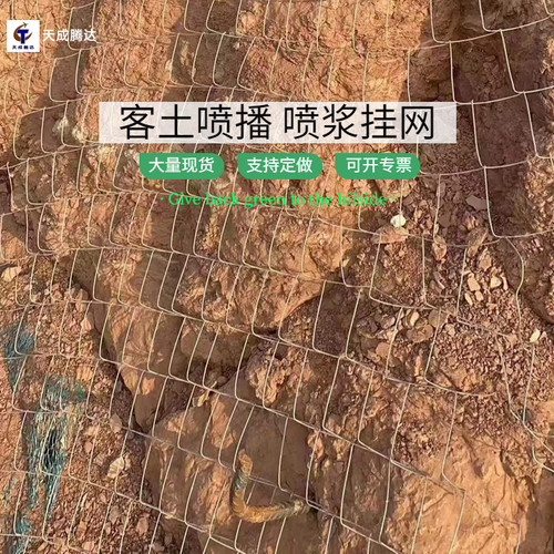 喷浆挂网植草复绿护坡钢丝网客土喷播边坡绿化铁丝网热镀锌勾花网