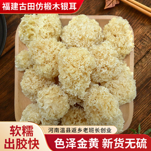 古田椴木银耳干货福建无硫糯孕妇白木耳雪耳丑耳莲子羹银耳100克