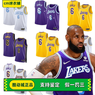 酷动城正品 球衣篮球背心 NIKE耐克詹姆斯洛杉矶湖人SW球迷版