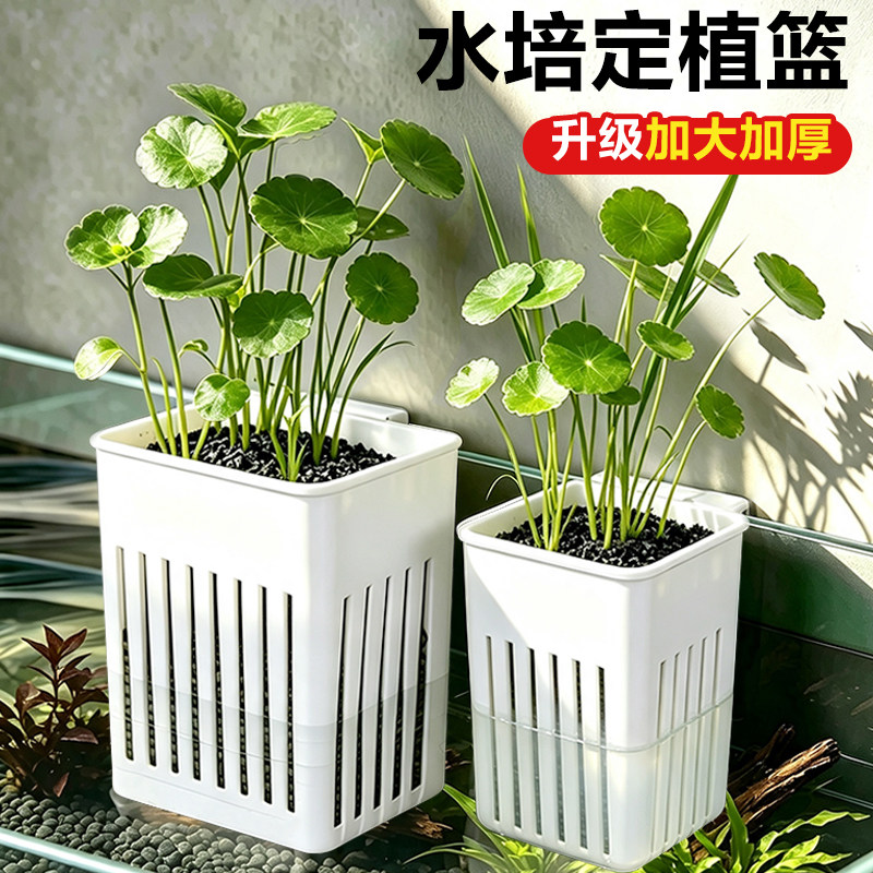 一挂即用鱼缸水培植物篮图片
