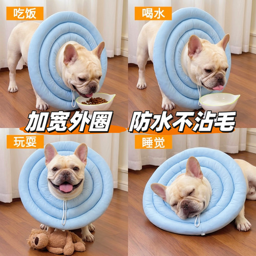 狗狗猫咪伊丽莎白软圈防舔咬加深