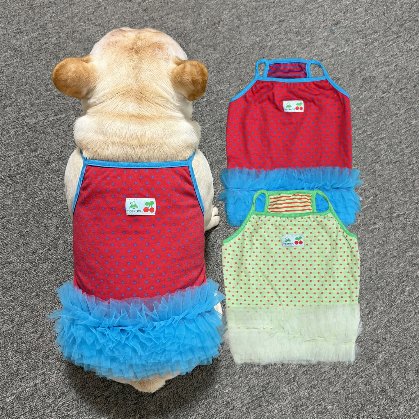 法斗裙子春夏薄款棉宠物巴哥犬四脚包肚衣服防掉毛小狗狗吊带背心