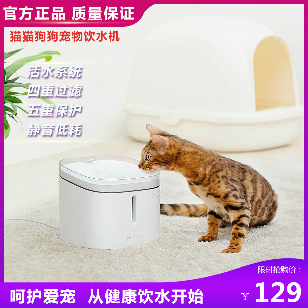 猫猫狗狗宠物饮水机自动循环活水猫咪流动狗狗智能净水喂水器滤芯