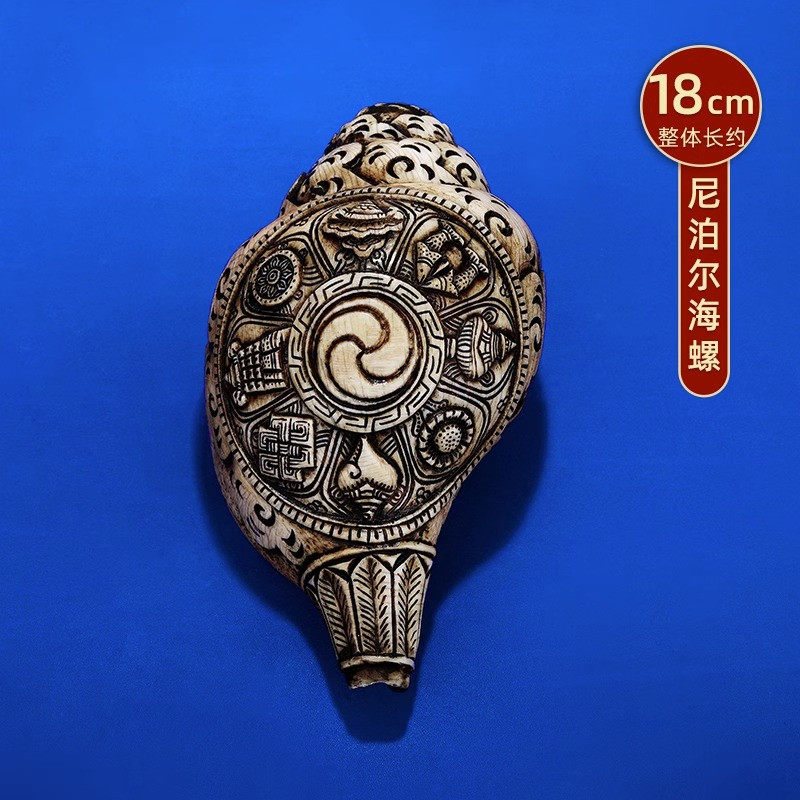 尼泊尔进口海螺摆件手工八吉祥浮雕海螺居家八供养供具用品18cm