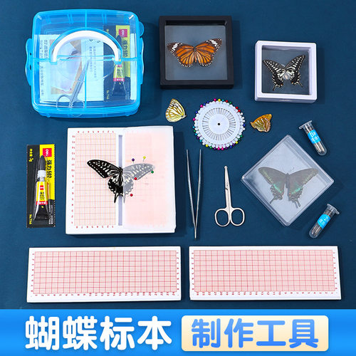 蝴蝶标本制作工具昆虫材料套装展翅板昆虫针手工diy科学实验活动