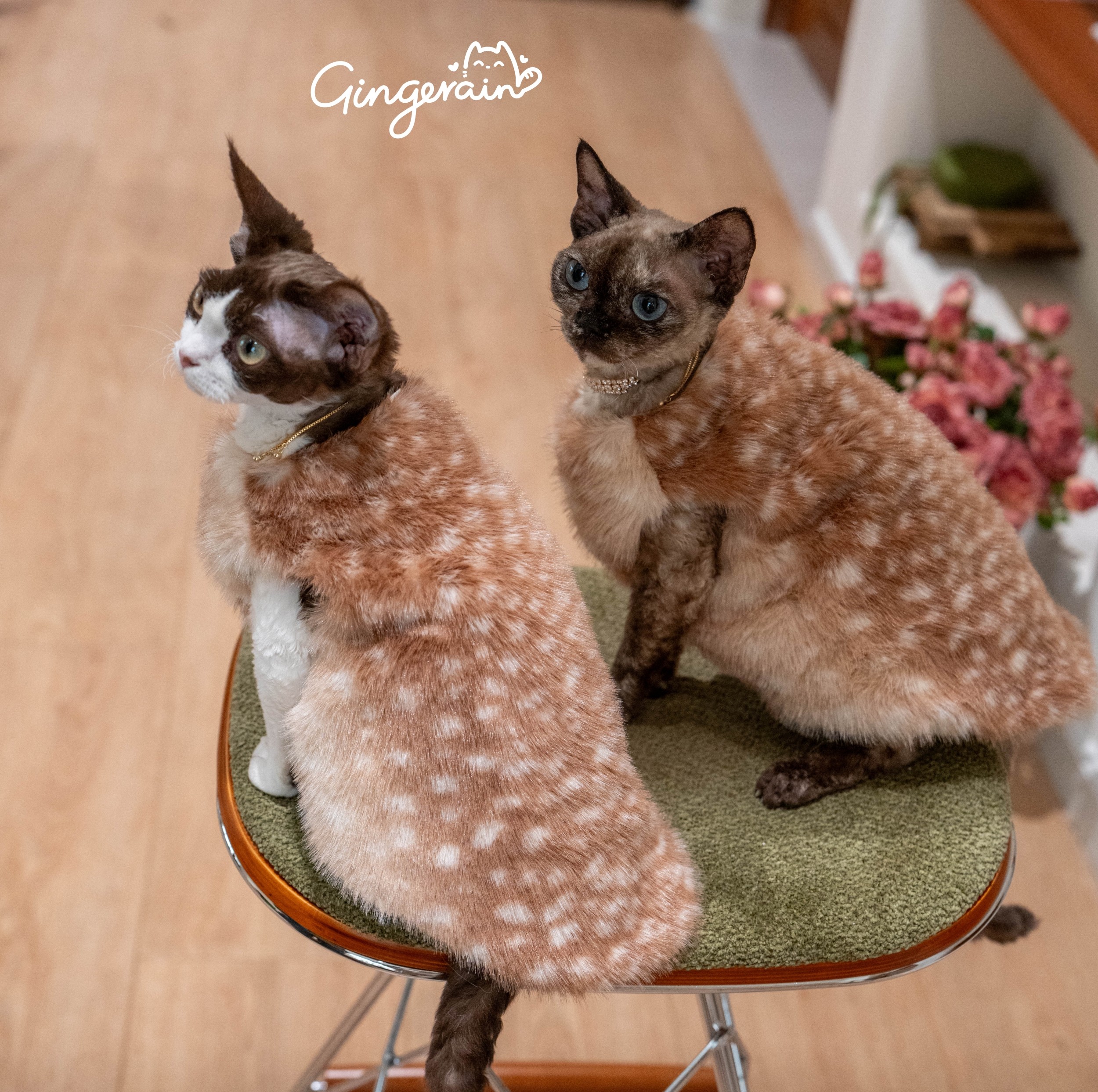 GINGERAIN 梅花鹿渐变仿皮草马甲无毛猫衣服德文外套拉链背心,宠物/宠物食品及用品,猫宠物服装/雨衣（新）,淘宝优惠券,粉丝福利购,淘宝优惠卷