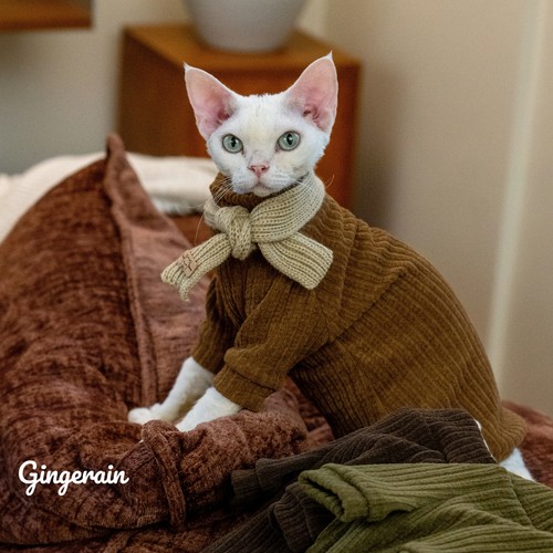 GINGERAIN猫咪美拉德系列卫衣