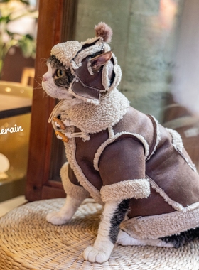 GINGERAIN 羊羔绒复合卫衣德文猫衣服无毛猫保暖皮毛一体深咖色