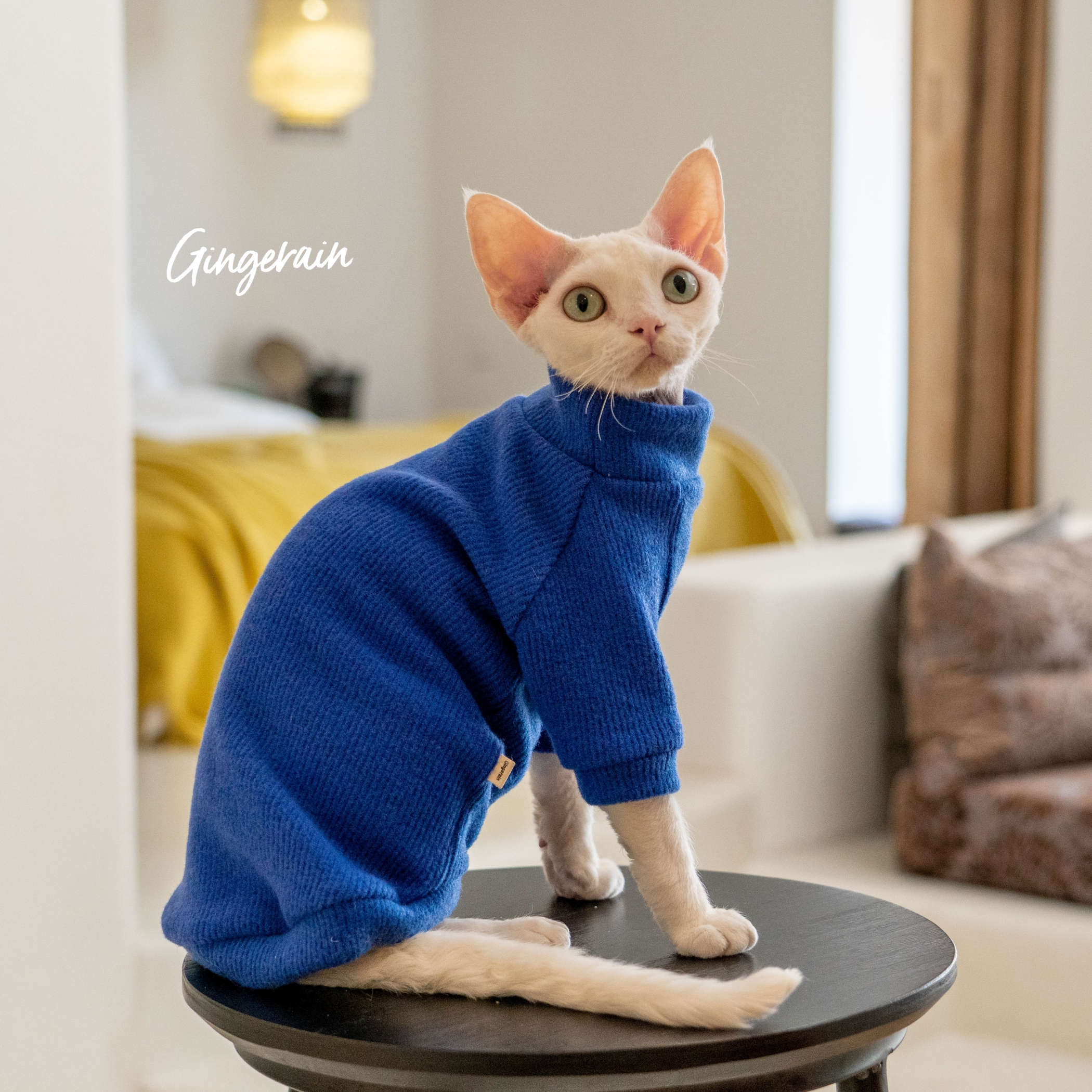 GINGERAIN无毛猫毛衣加厚保暖