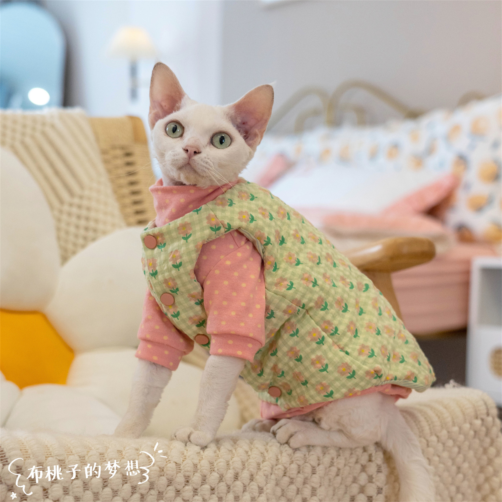 GINGERAIN 无毛猫衣服德文纯棉绗棉马甲保暖甜美系实用外套背心,宠物/宠物食品及用品,猫宠物服装/雨衣（新）,淘宝优惠券,粉丝福利购,淘宝优惠卷